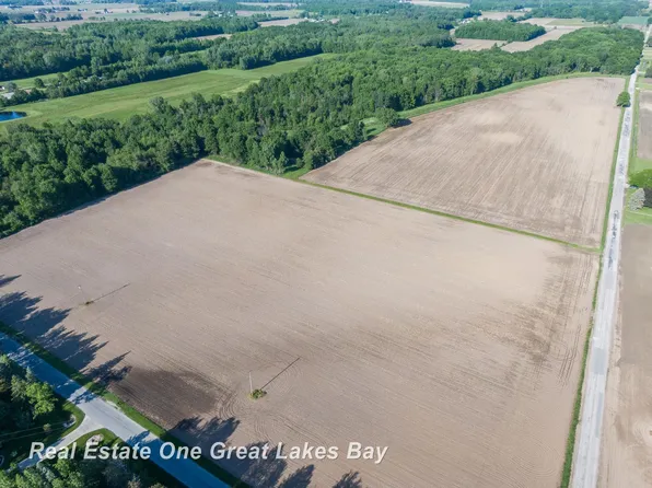 Roosevelt Rd, Hemlock, MI 48626
