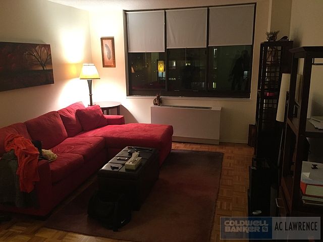 1st image of 205 E 95th St APT 3D
