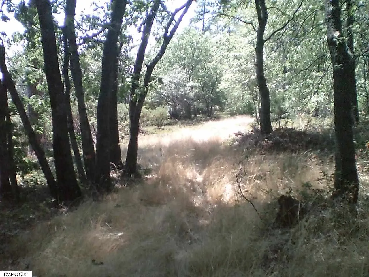 0 Southwest Ct #Boy photo 1