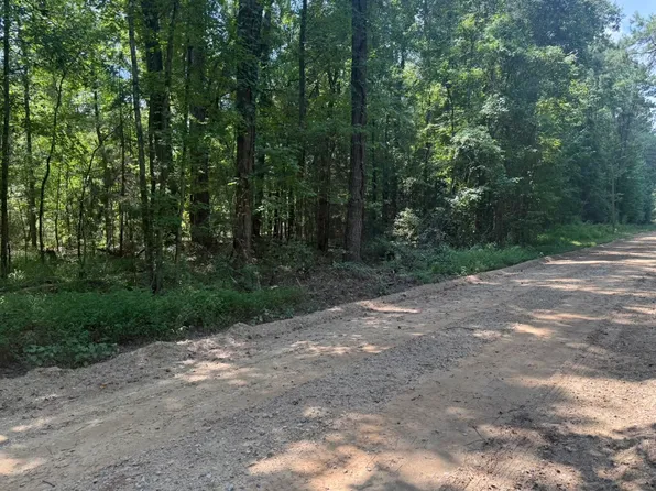 0 Pace Landing Rd, Livingston, AL 35470