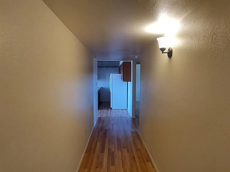 2110 Hagerty Rd — Photo 6