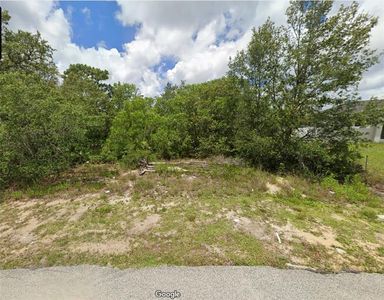 Flatfish Ct LOT 25, Kissimmee, FL, 34759