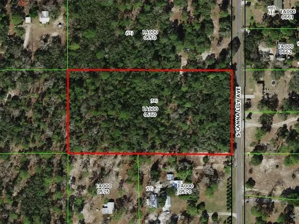 6464 S Canna Lily Ave, Homosassa, FL 34446