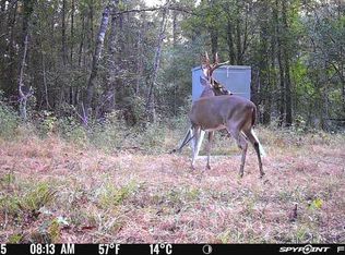 Margaret Dr, Kirbyville, TX 75956