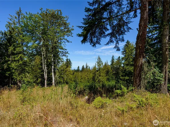 0 XX Township Line Road, Port Angeles, WA 98362