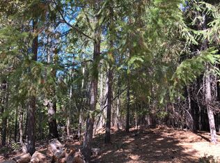 28300 Secret Town Ct, Colfax, CA 95713