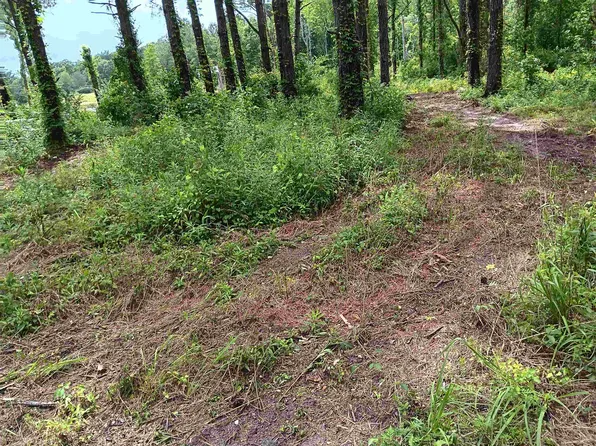 Bozeman Rd, Dozier, AL 36028