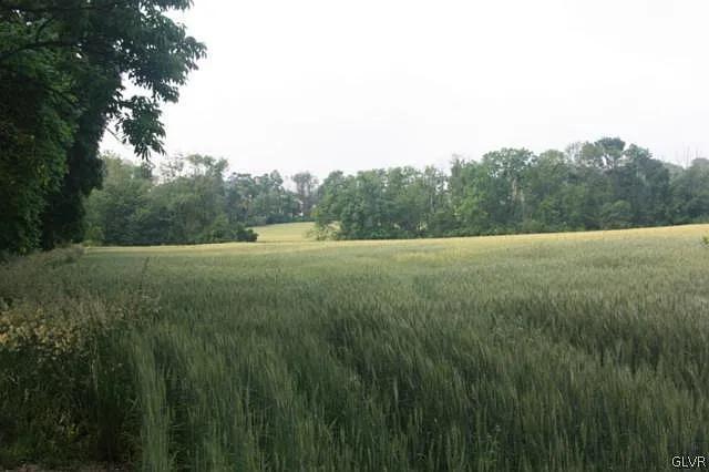0 Leithsville Rd photo 1