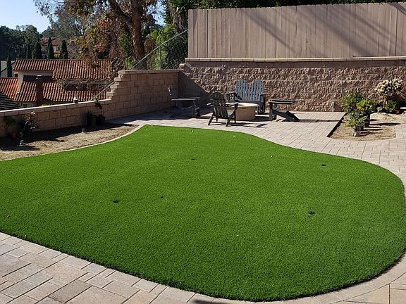 Backyard & Fire Ring