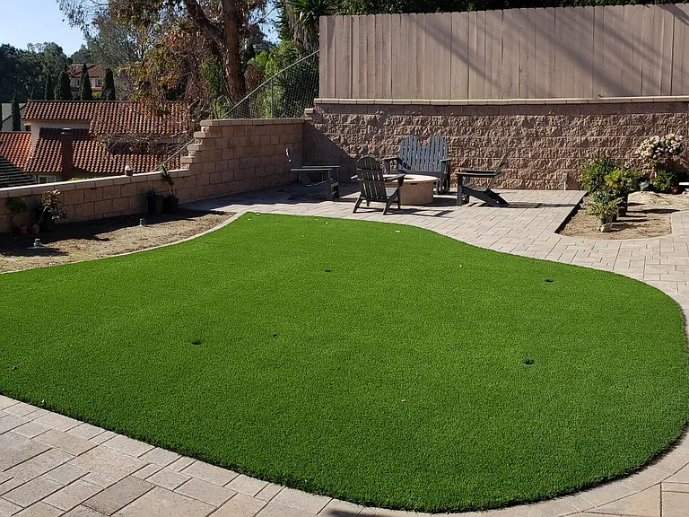 Backyard & Fire Ring