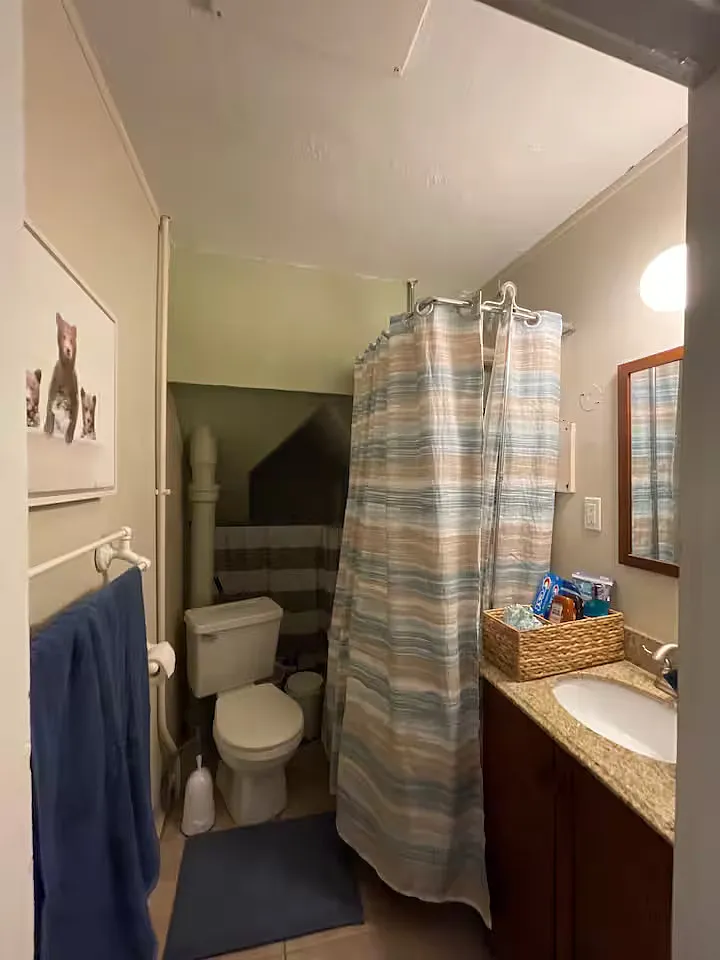 1 bed, 600 sqft, $1,100 — Photo 4