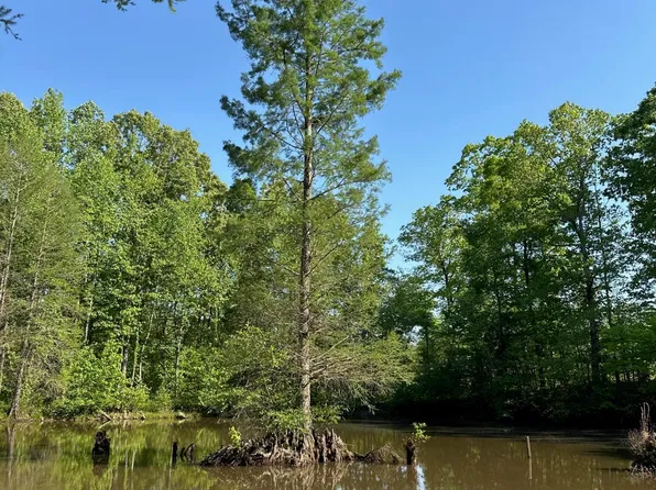 County Road 312, Tiplersville, MS 38674