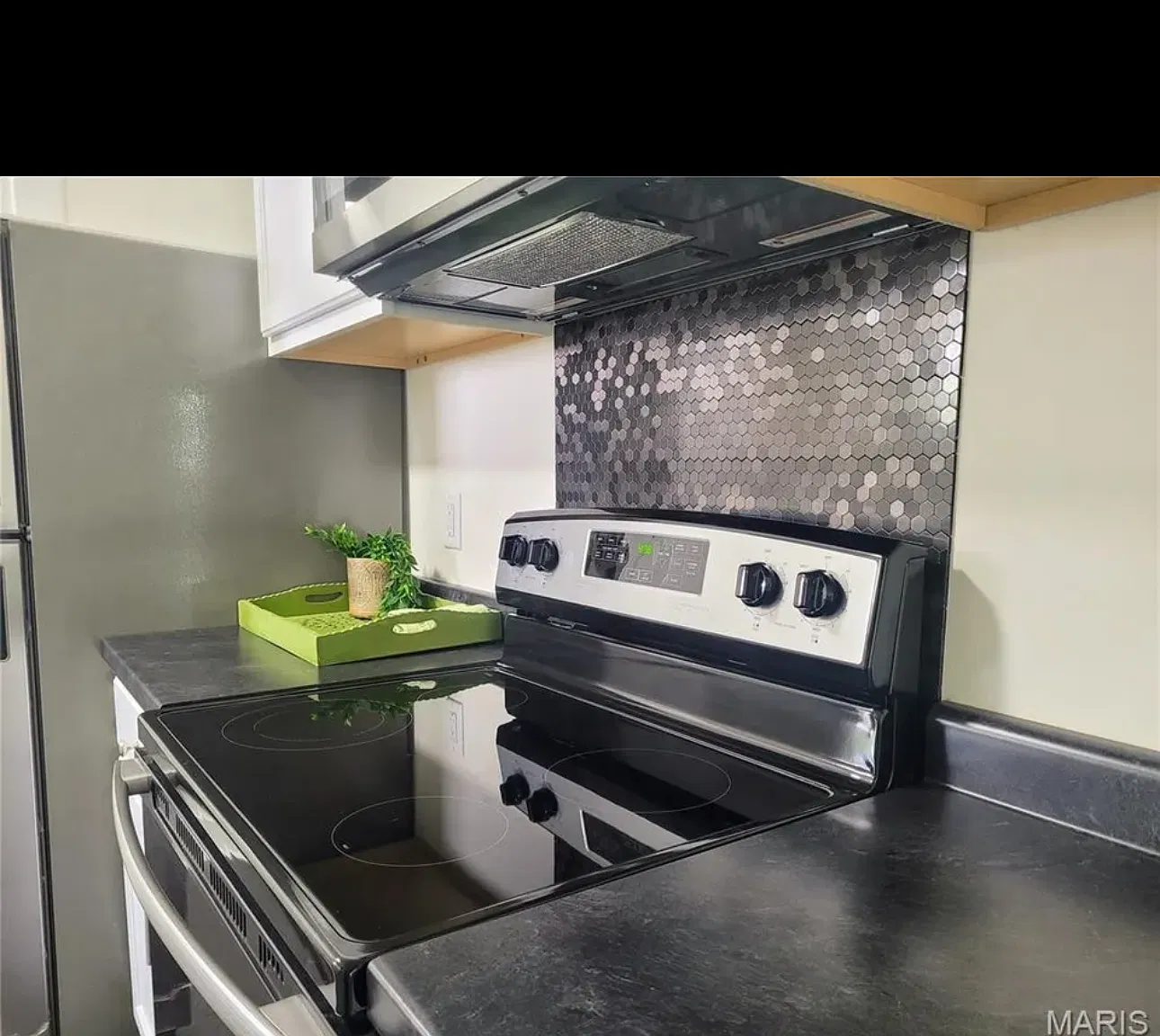 2 bed, 750 sqft, $1,250 — Photo 3