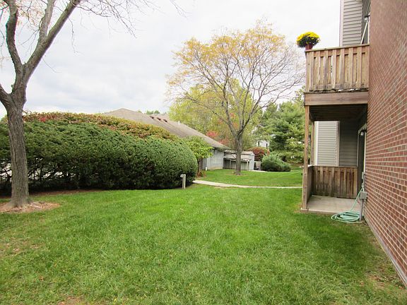 Patio and back yard