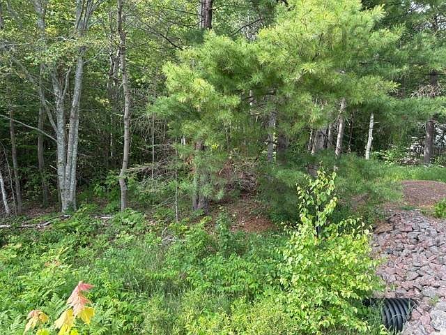 1st image of Meadowvale Rd Lot B