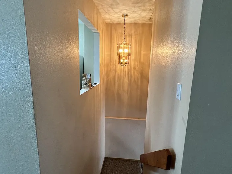 1331 Firefly Cir — Photo 13