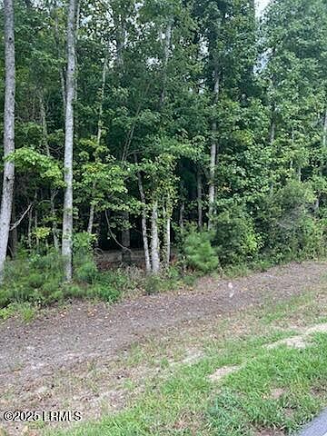 2nd image of Tbd Green Pond