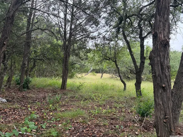 197 Rosenberry LOT 22, Bulverde, TX 78163