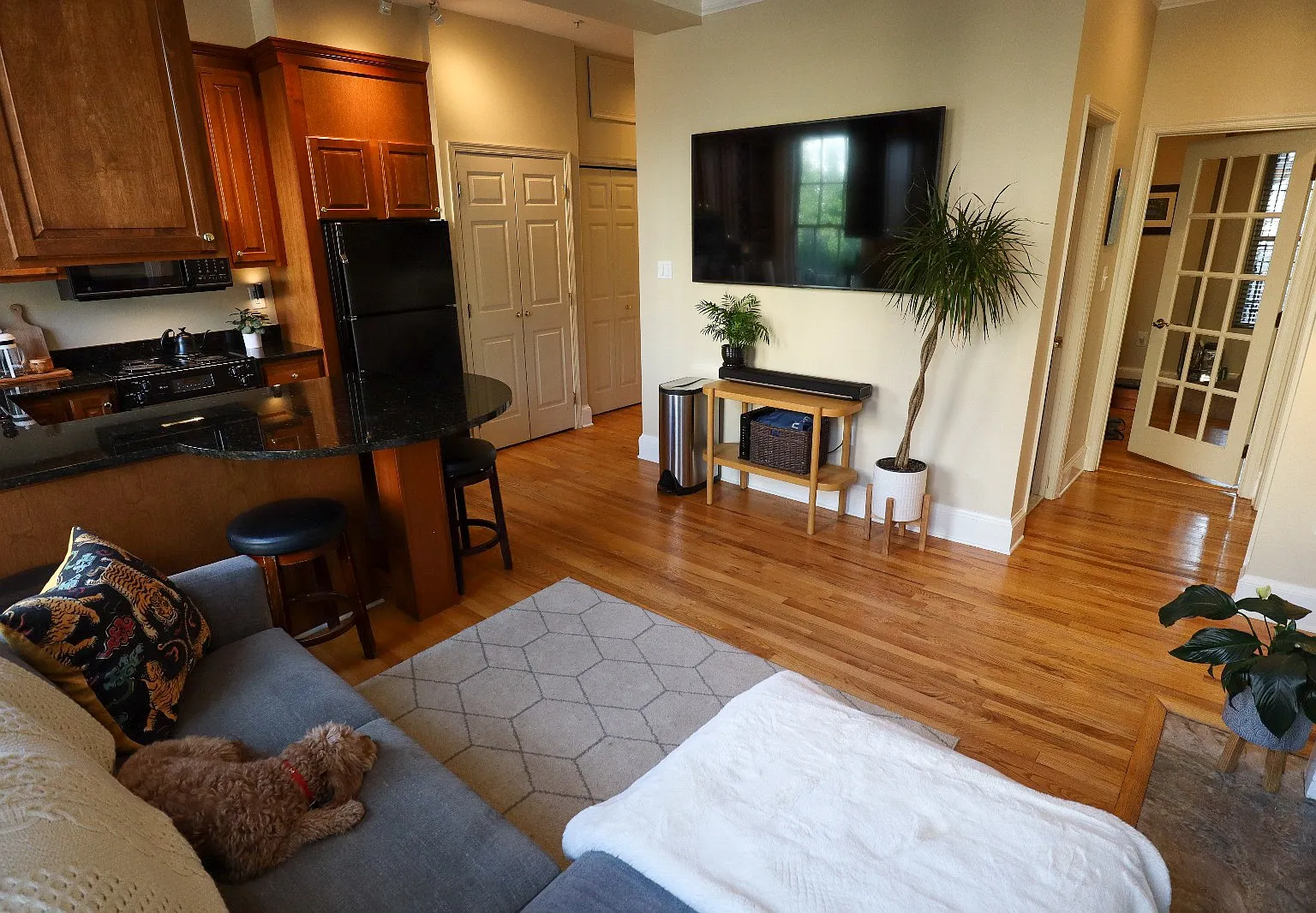1 bed, 479 sqft, $2,495 — Photo 3