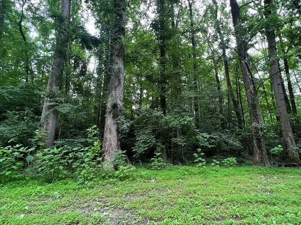 0 Cod Creek Dr, Heathsville, VA 22473