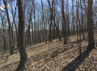 13001 Canyon Falls Rd, Patch Grove, WI 53817