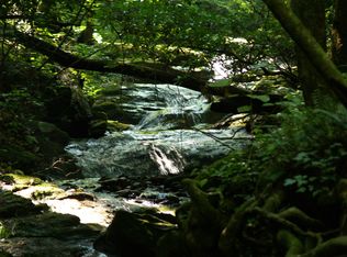 165 Cold Stream Trl, Jasper, GA 30143