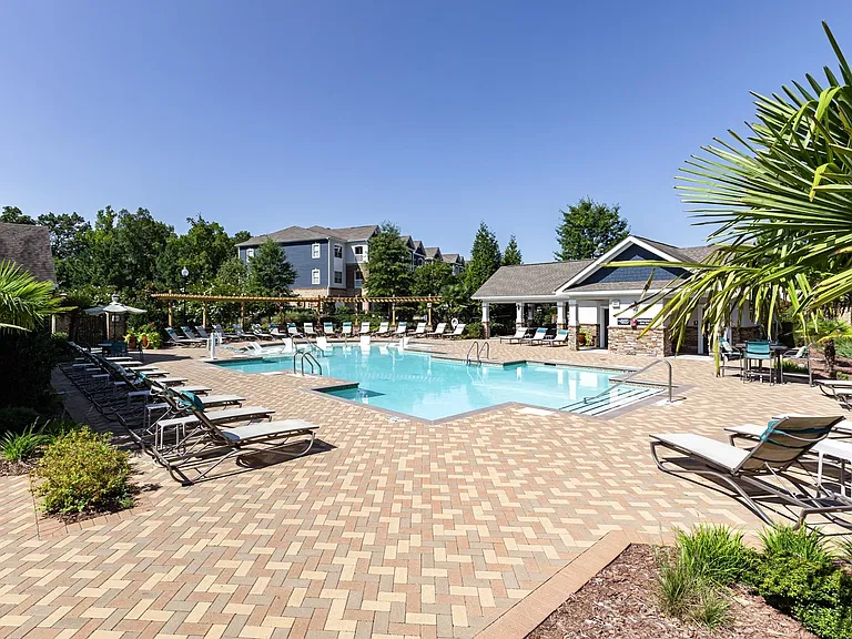 Refreshing Swimming Pool