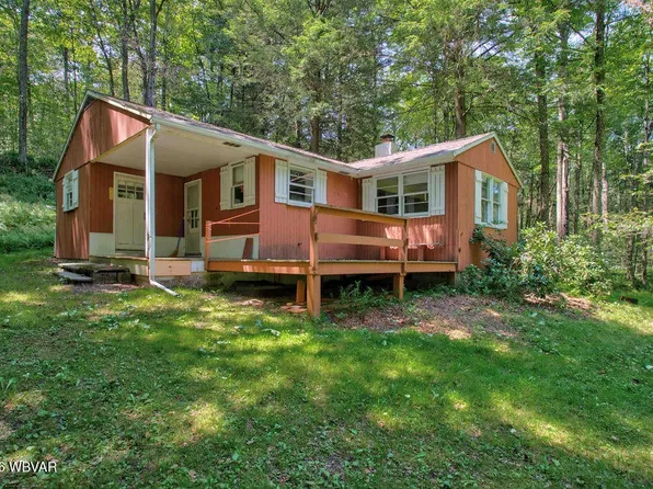 1461 Brunnerdale Rd, Davidson, PA 17758