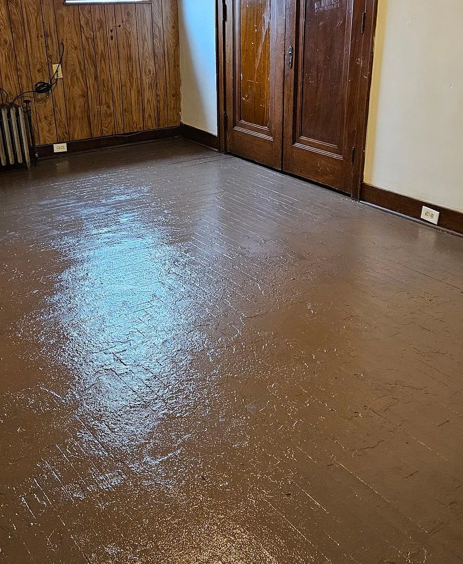 1 bed, $650 — Photo 1