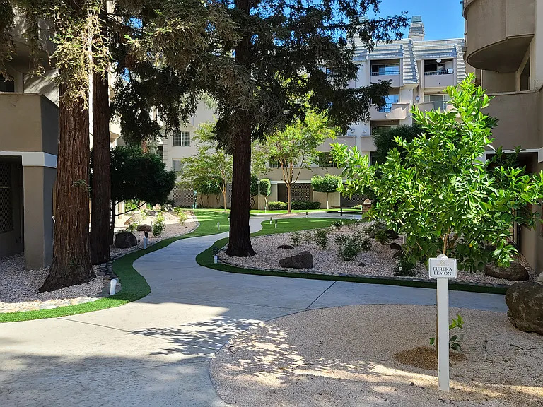 Park Regency Apartments — Photo 9
