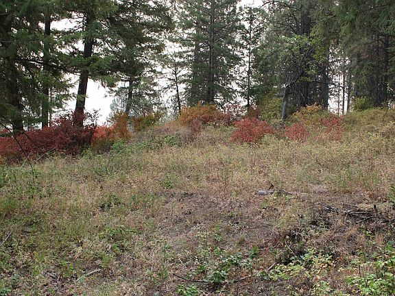 3rd image of Nka Pine Rose Way Lot 2