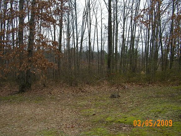 View of Woods