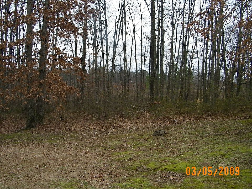 View of Woods