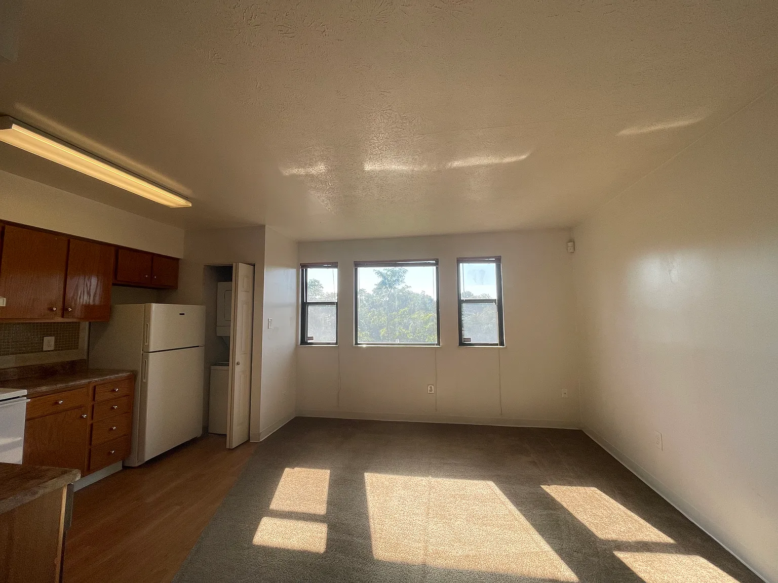 1 bed, 570 sqft, $1,350 — Photo 2