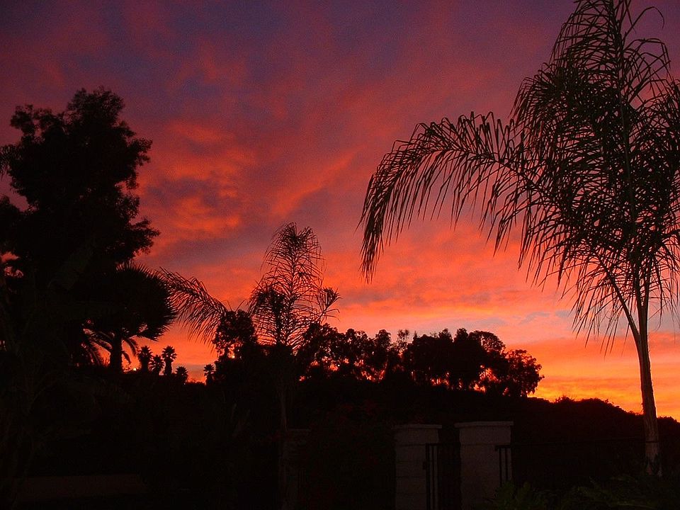 Spectacular Sunsets
