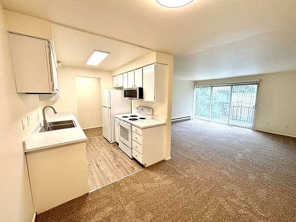 Kitchen and living areas