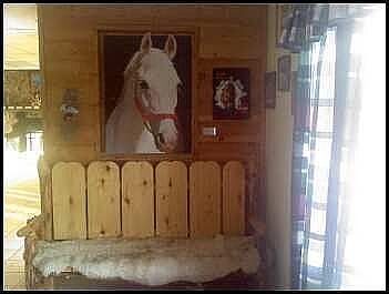 log sidded lower level