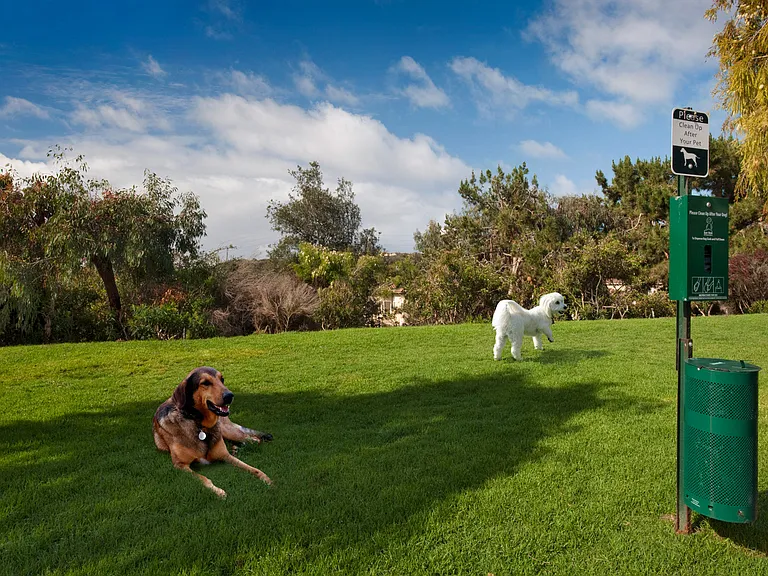 There is plenty of green space in our pet friendly community