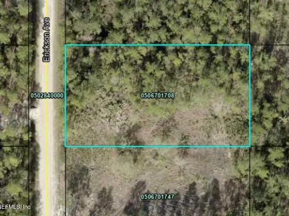 10680 ERICKSON Avenue, Hastings, FL 32145