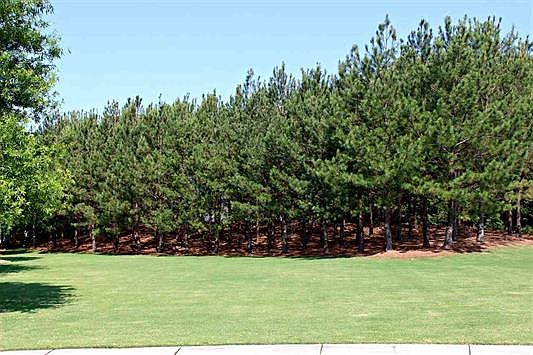 4th image of 2093 Pomerol Dr Lot 85