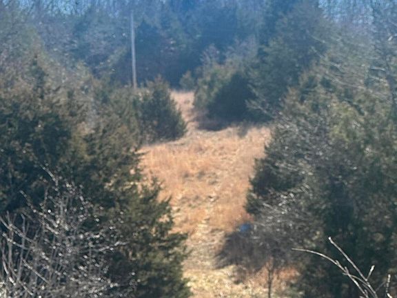 4th image of 720 Redwood Lane