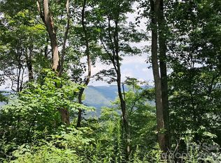 0 Hurricane Ridge Trce #53, Clyde, NC 28721