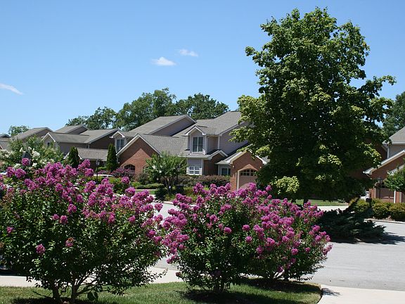 Colorful Landscaping