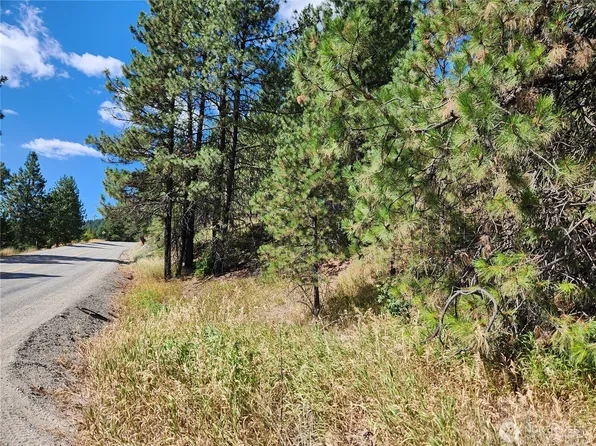 0 Lot 1 Klondike Road, Republic, WA 99166