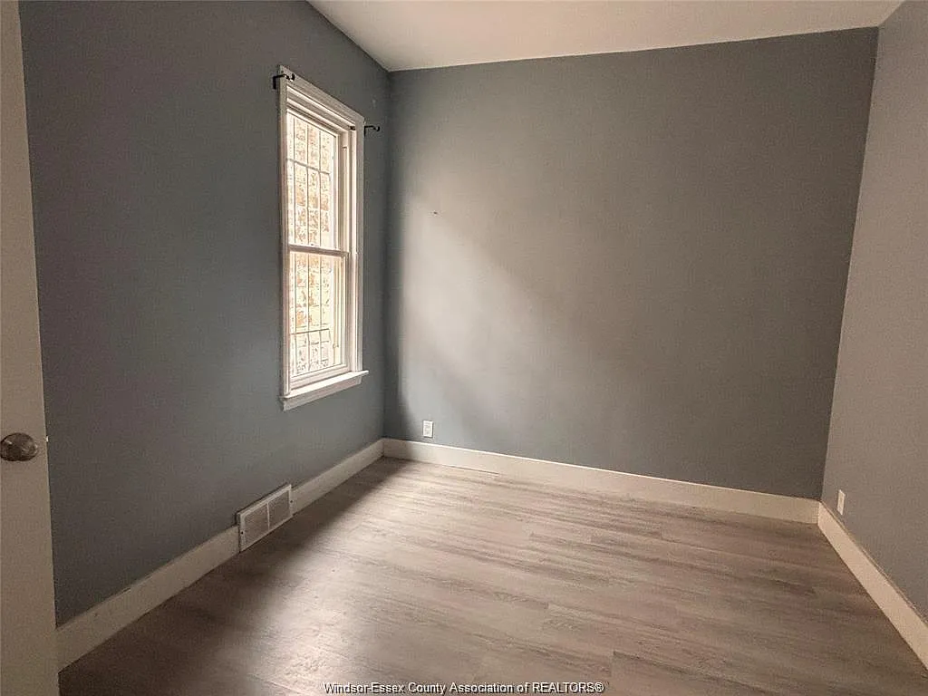 1 bed, $900 — Photo 4
