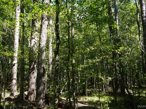 11075 Highway 94, Grady, AL 36036