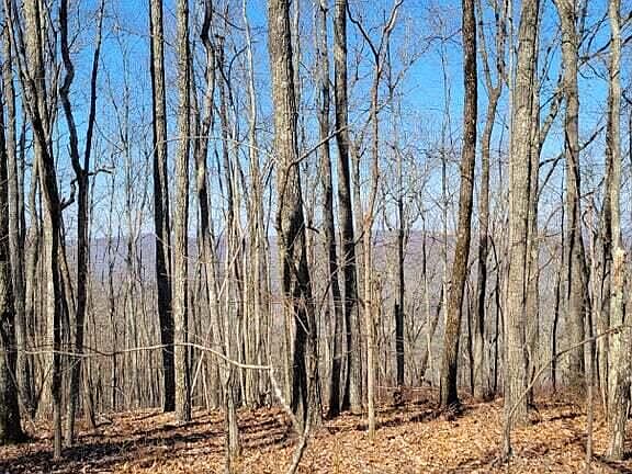 4th image of 0 Poplar Way Lot 2