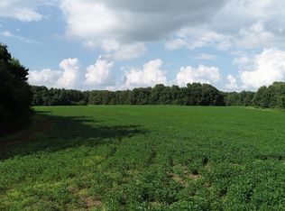 877 Cerro Gordo Rd, Jackson, TN 38301