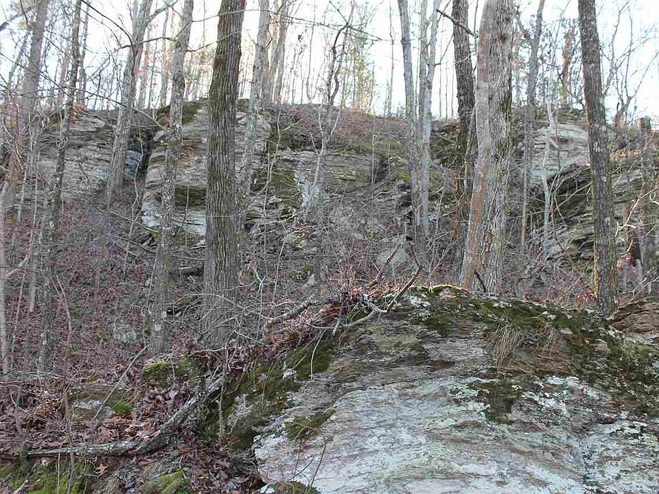 2nd image of Hazel Dr