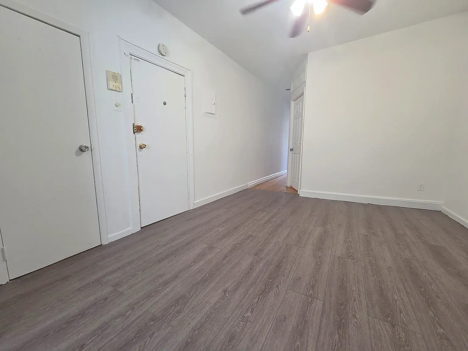 304 Ellery Street — Photo 3